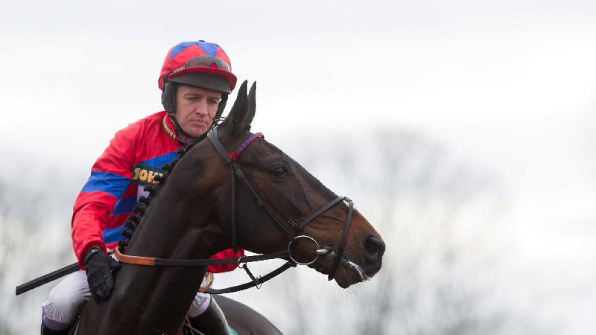 Sprinter Sacre To Parade at the Punchestown Festival | Nenagh Guardian