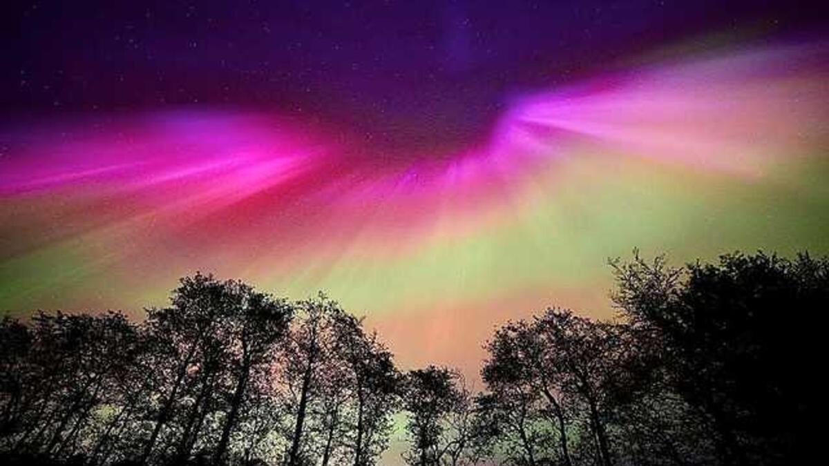 Stunning shots of Northern Lights captured by Tullamore Camera Club