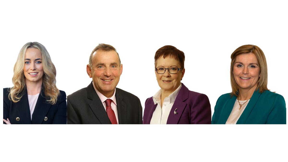 Fianna Fáil has confirmed that four first time-candidates will join six sitting councillors in contesting next month's local elections for the party in Offaly.