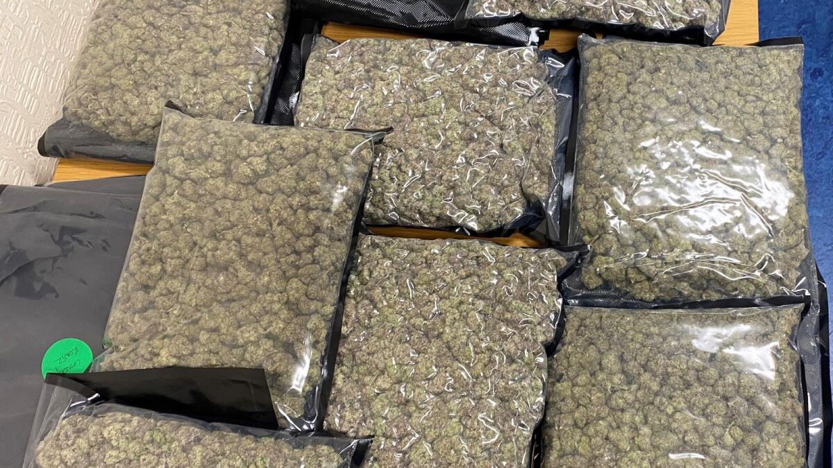 A man is due to appear in court this afternoon, Friday, following a cannabis herb seizure in West Cork yesterday.
