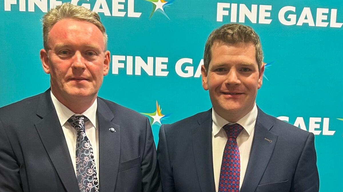 FG select Burke and  Carrigy to contest Longford Westmeath in general election | Westmeath Examiner