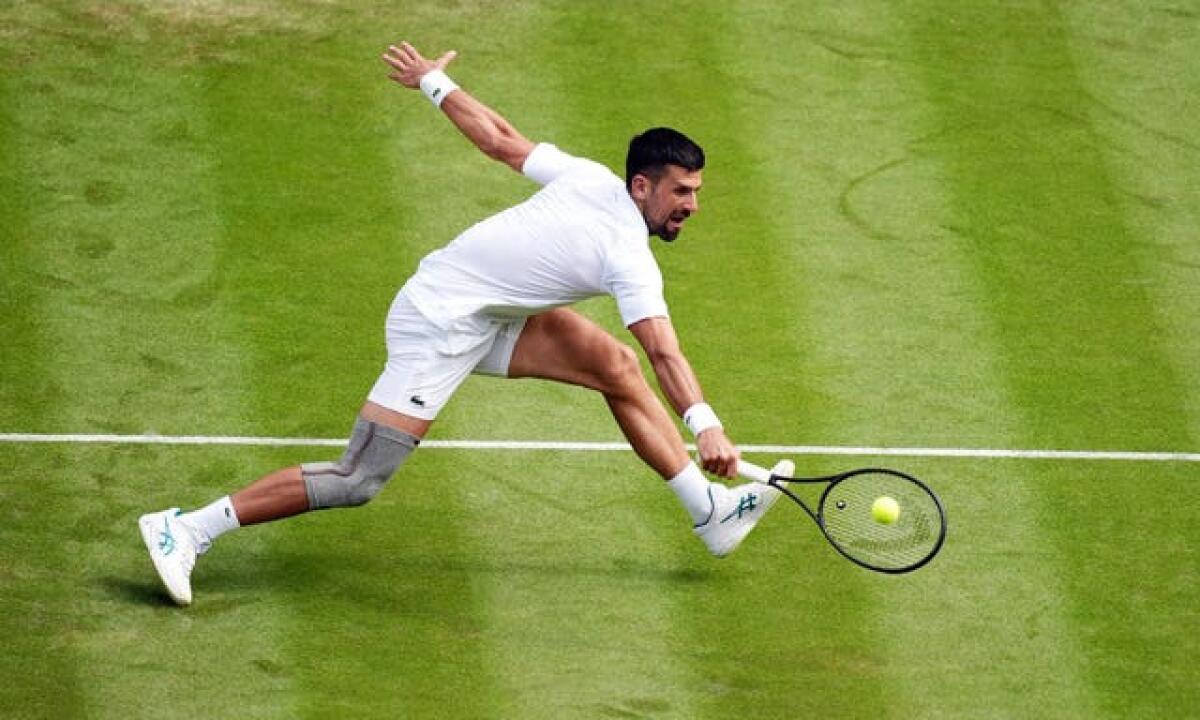 Novak Djokovic - Figure 4