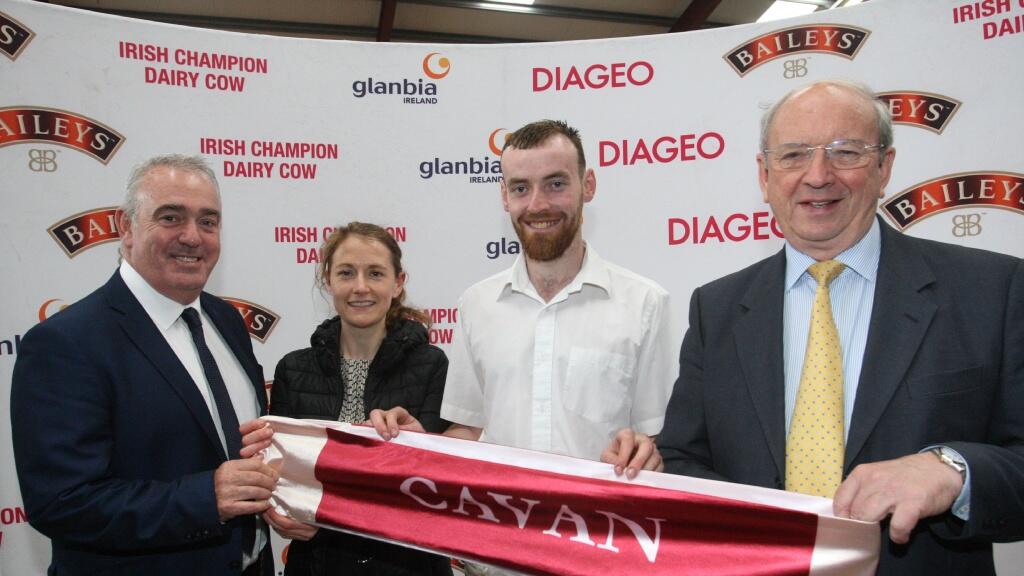 Last chance to enter Diageo Baileys Irish Champion Cow competition