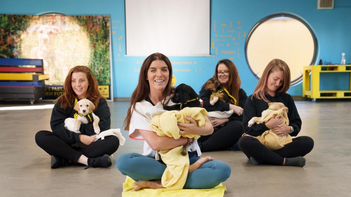 Canines Belief hosts pet meditation class to mark World Psychological Well being Day