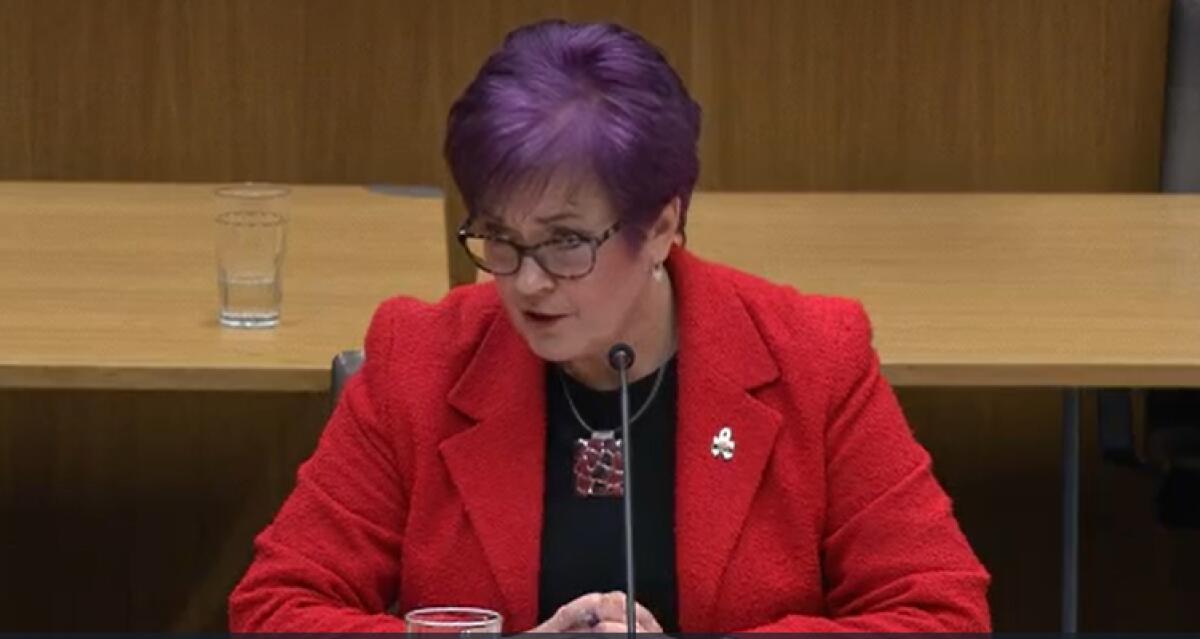 Sports minister Dawn Bowden admitted being aware of sexism allegations against the WRU before the BBC programme was aired. (Senedd.TV)